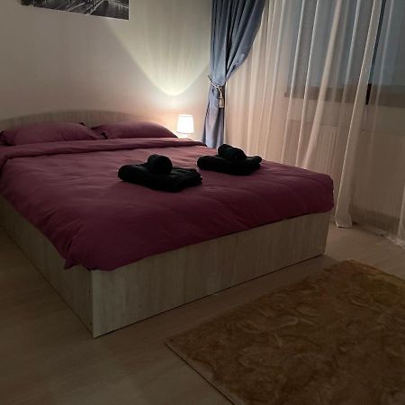 D&M Apartaments Iasi Extérieur photo